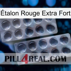Étalon Rouge Extra Fort 31